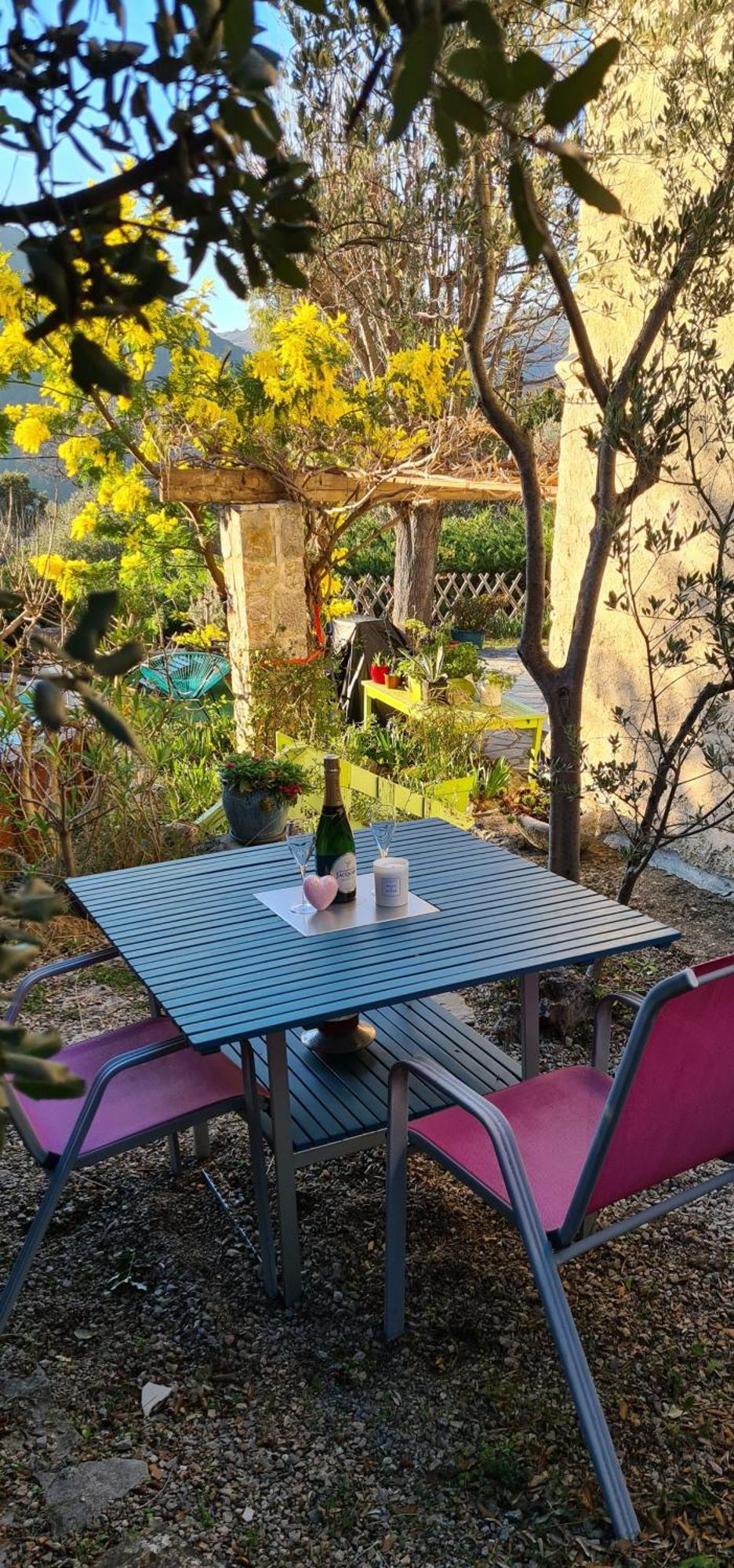Studio De Charme + Terrasse : Verdon, Lac, Plages Claviers Exteriör bild